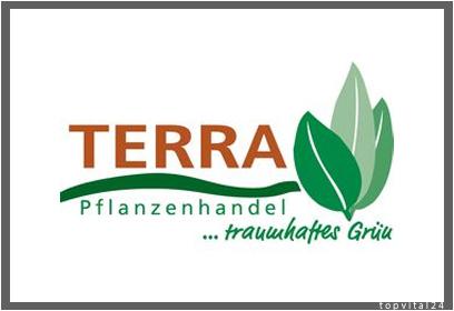 Bild verkleinern